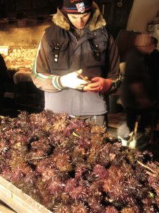 Sea urchins catania sicily