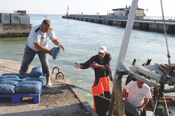 Fishermen Italy