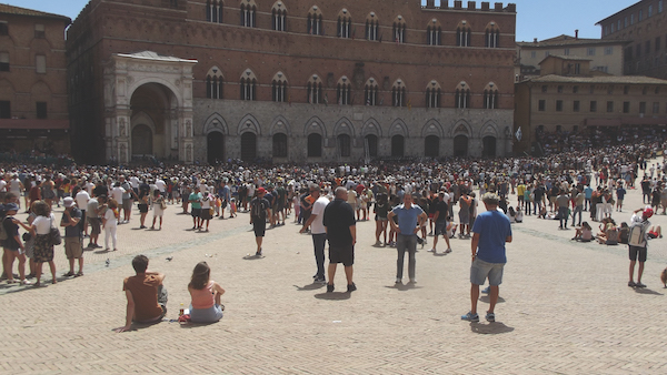 Choosing horses for Siena Palio Italy