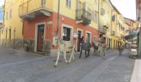 Susa, Piedmont