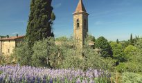 Tuscany garden