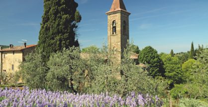 Tuscany garden