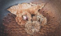 Chestnuts in Italy