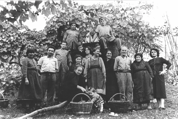 Mionetto prosecco history