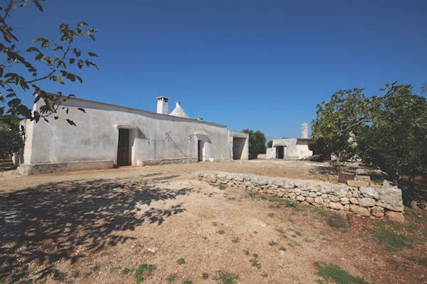 Trullo Ulivo, Puglia, Italy