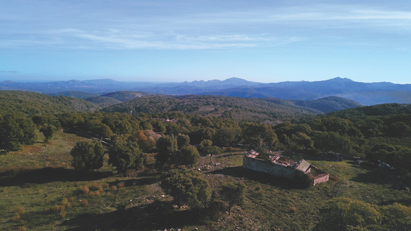 Luogosanto farmhouse, Sardinia