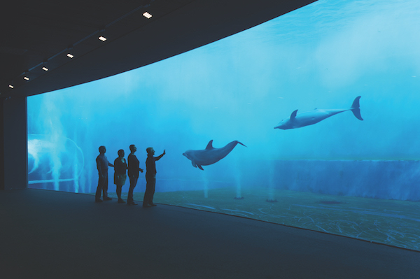 Aquarium, Genoa