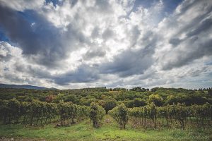 Maremma, Tuscany