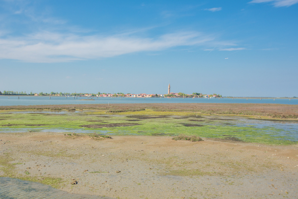 Marshlands of the lagoon from San Francesco del Deserto