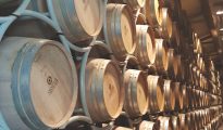 Sassicaia barrels tenuta san guido, Maremma, Tuscany