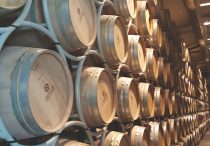 Sassicaia barrels tenuta san guido, Maremma, Tuscany