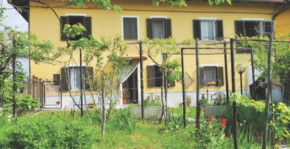 cascina with vineyard, Piedmont