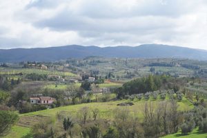 Arezzo countryside