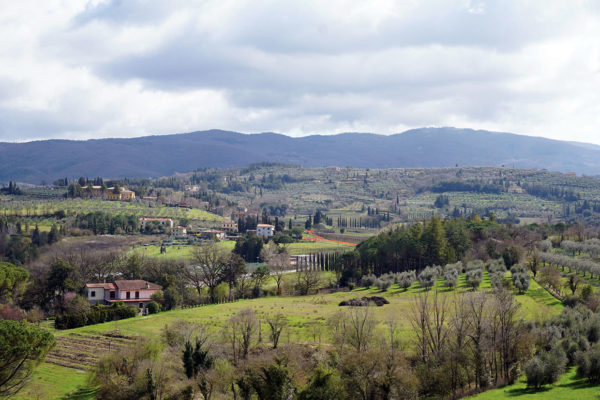 Countryside views outside of Arezzo