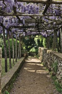 villa cimbrone gardens