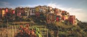 Corniglia Italy
