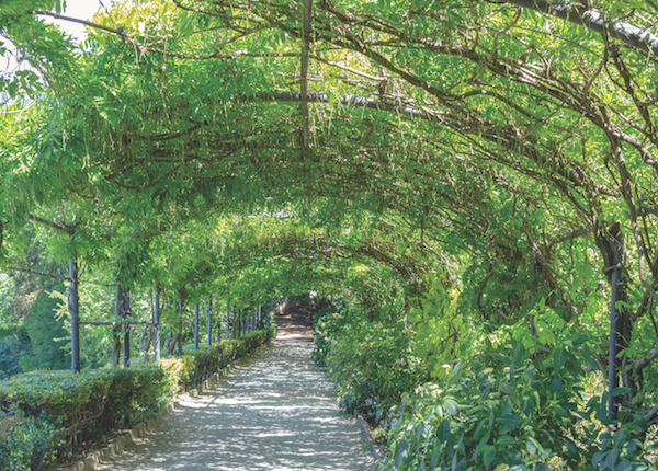 bardini gardens, florence