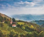 Drink Italia! Piedmont white wines