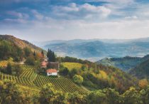 le langhe, piedmont