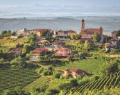 Langhe Piedmont