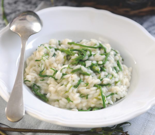 foraging - wild hops risotto