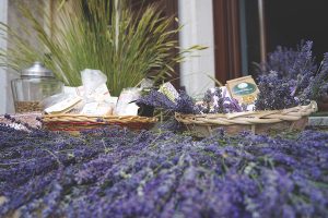 lavender products