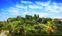 medici gardens