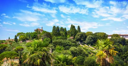 medici gardens