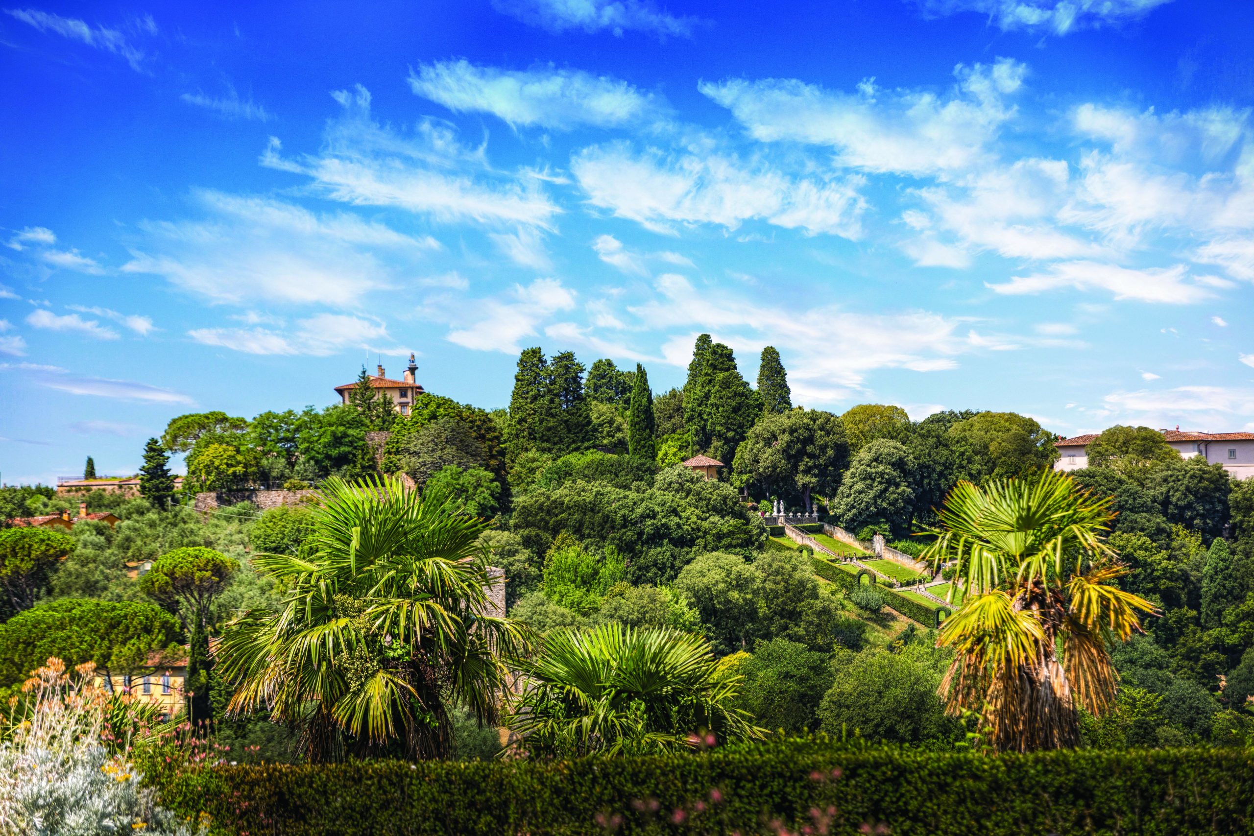 medici gardens