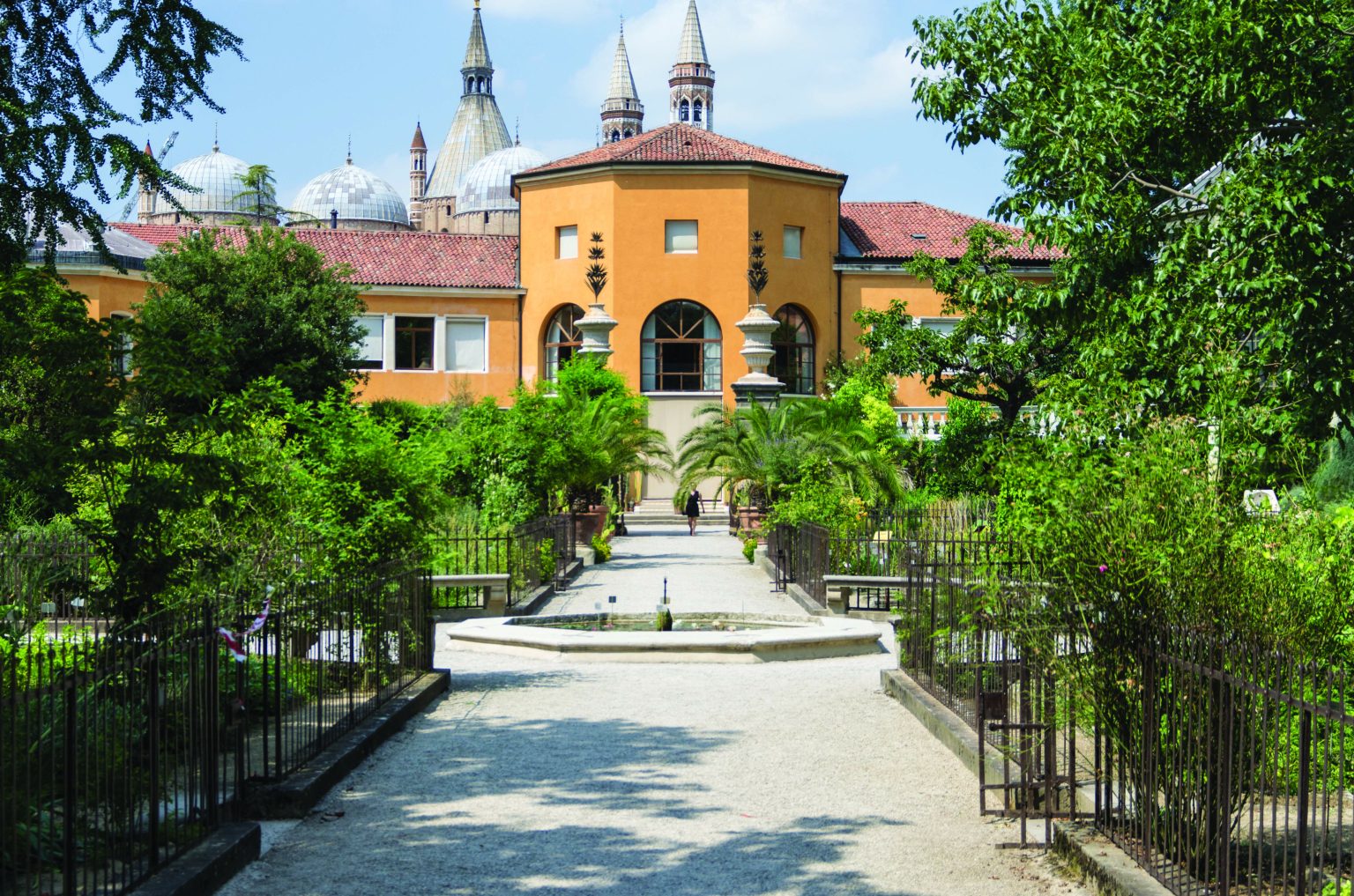 discover-orto-botanico-padua-italy-travel-and-life