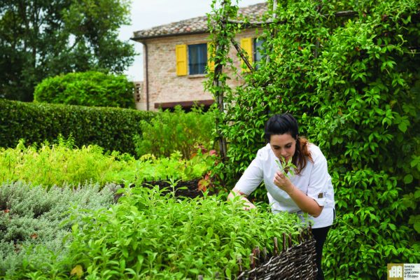 visit urbino italy