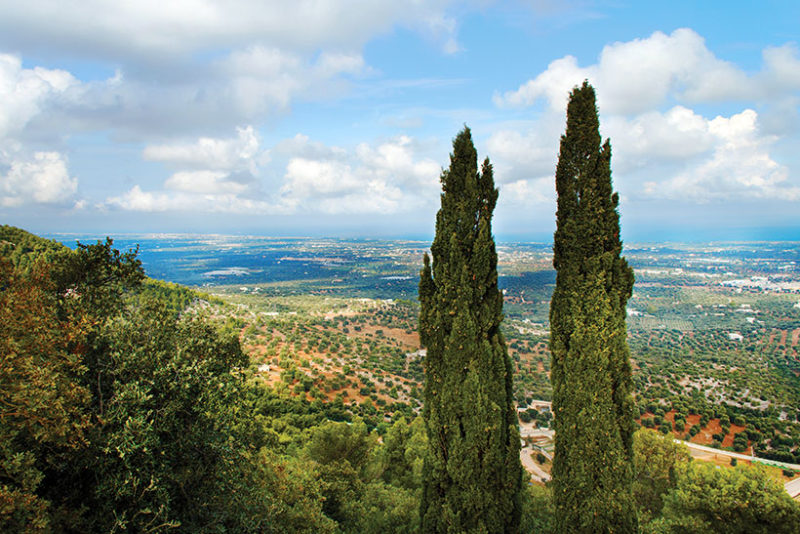 view of scenery in Itria Valley, Puglia