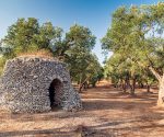 Take part in the renovation of ancient Italian villages