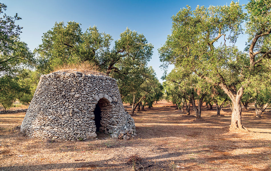 stone hut in salento, puglia. ITS Italy rennovation