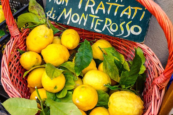 Lemons in Cinque Terre