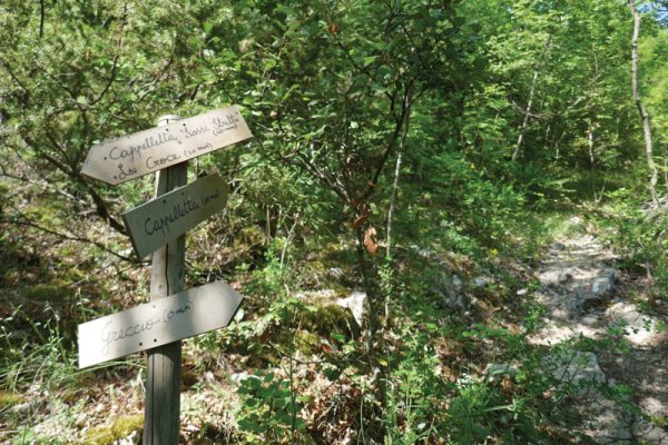Trail signs in the forests near Greccio