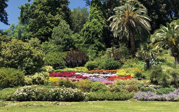 flowers in villa carlotta gardens