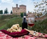 Truffle Hunting in Le Langhe