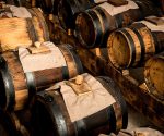 5 foodie reasons to visit Modena