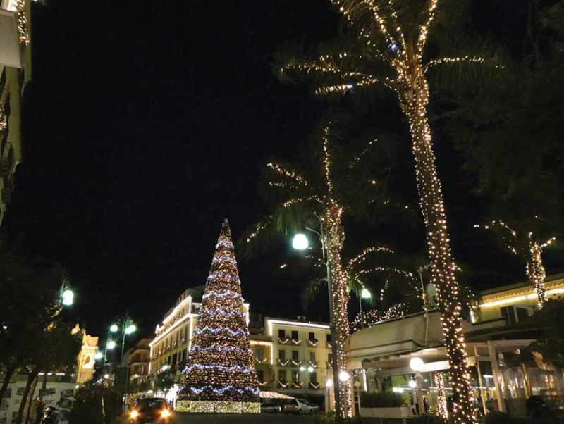 Municipal christmas tree and lighted palms