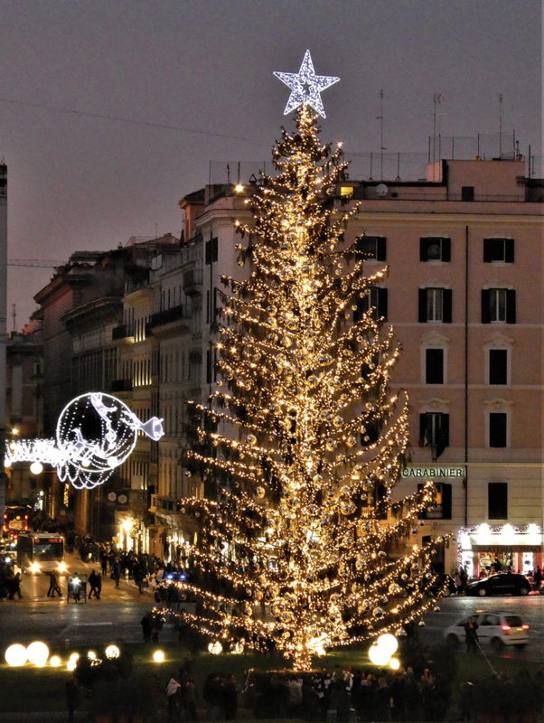 Spelacchio Christmas tree