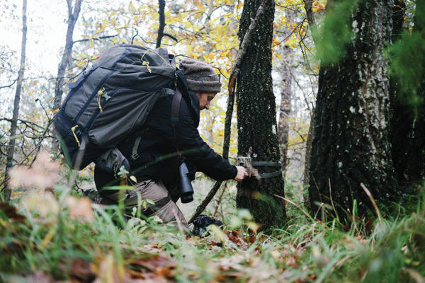 wolf monitoring in italy