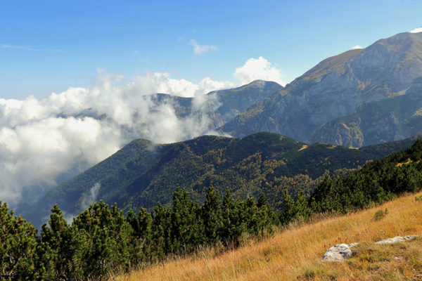 view of the national park