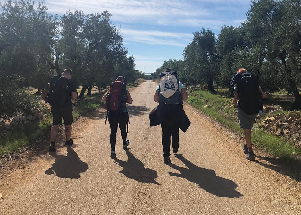 Four people hiking on path