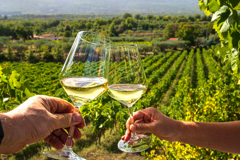 cheers with wine glasses in vineyard