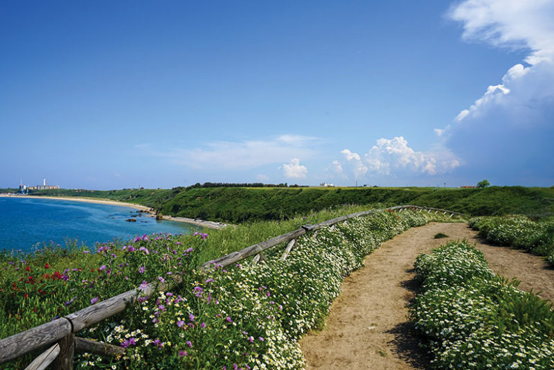 Punta Aderci nature reserve