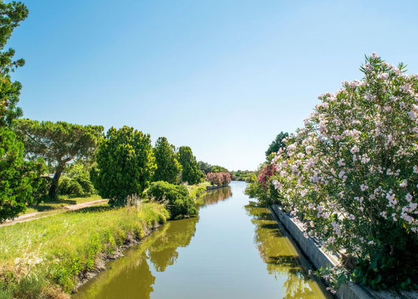 Island of Saint Erasmus with green countryside and blossom-covered trees