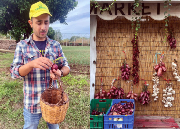Marco Furchi onion experience grower cipolla rossa di Tropea